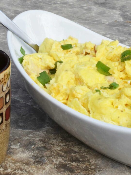 Best Way to Take Eggs Camping: Easy Tips for Fresh Eggs