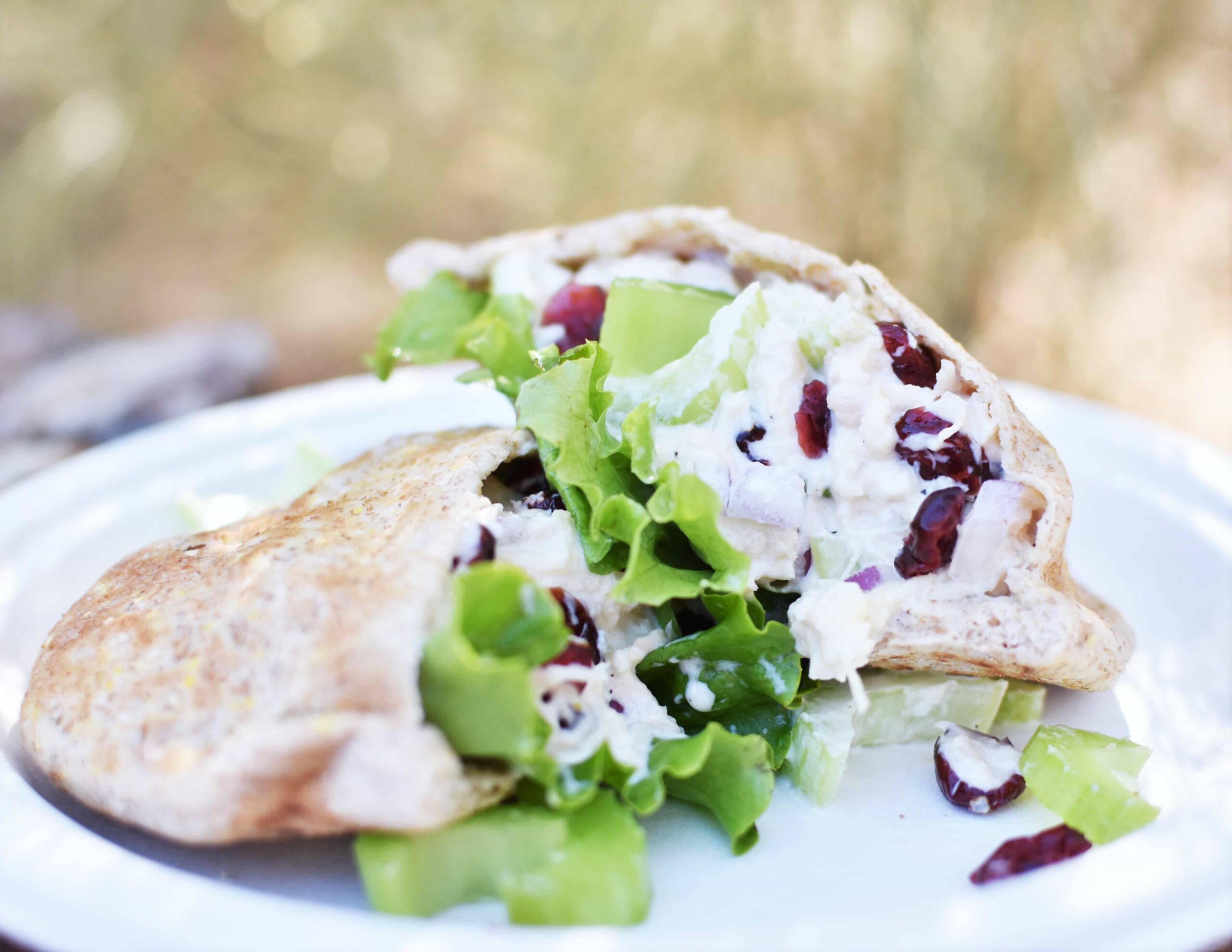 Easy Camping Meals: No-Cook Chicken Salad Pitas