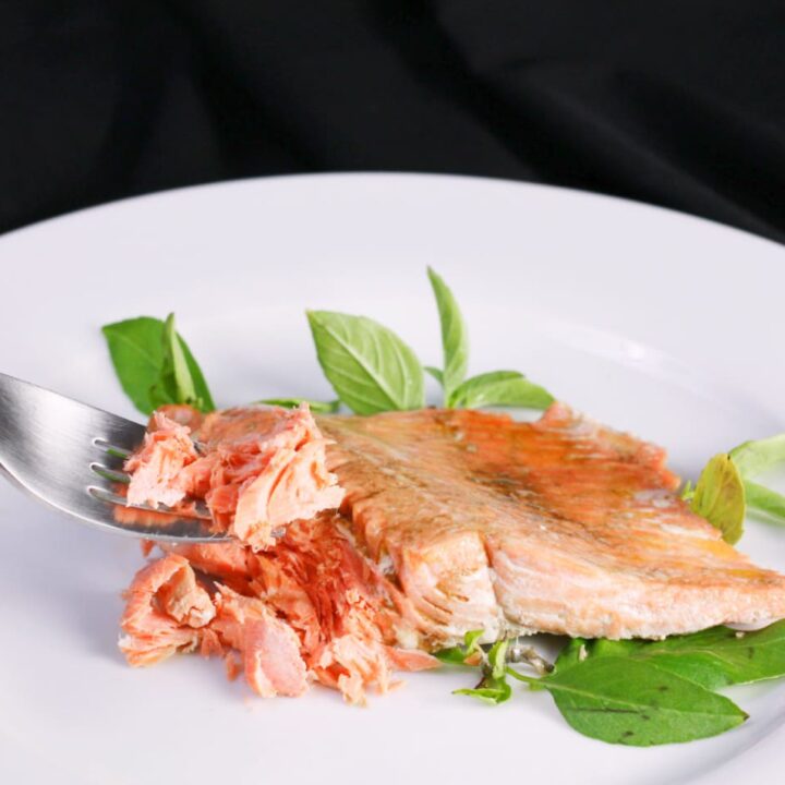 instant pot salmon with fork horiz small