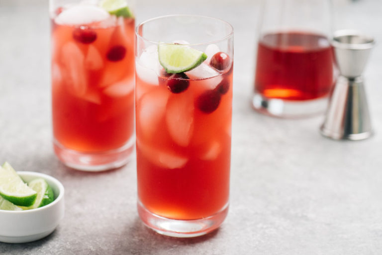 Vodka Cranberry Cocktail 2 glasses horizontal